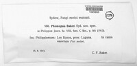 Image of Phomopsis bakeri